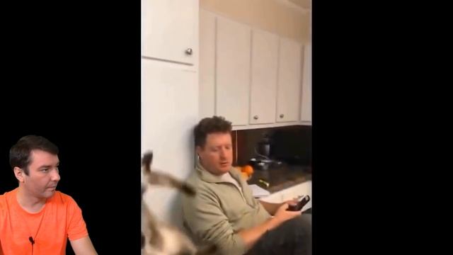 СМОТРИ ЖЕСТЬ в ТИКТОКЕ и ЛАЙКЕ ! НЕ ЗАСМЕЙСЯ и НЕ СКАЖИ ВАУ ЧЕЛЛЕНДЖ Funny Videos Валеришка смотреть онлайн