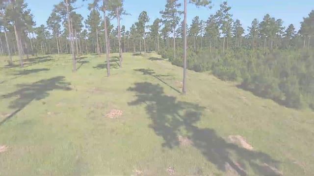 BLACK MINGO PLANTATION смотреть онлайн