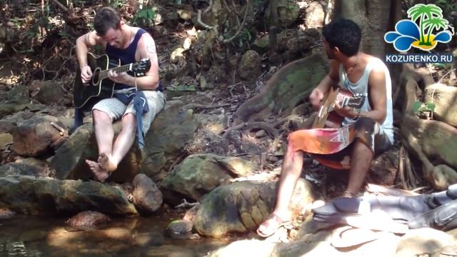 ГОА, Арамболь, дерево Баньян смотреть онлайн