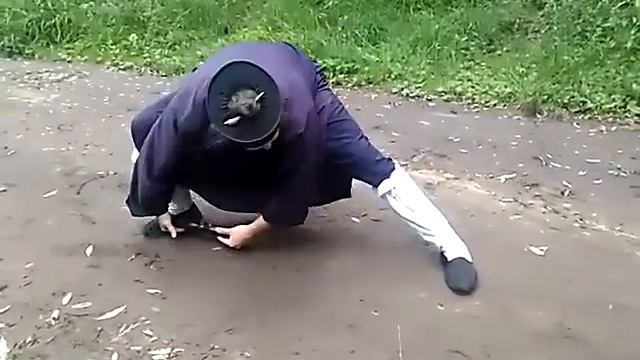 Тай цзи чи. Линейка Великого предела. Фрагмент