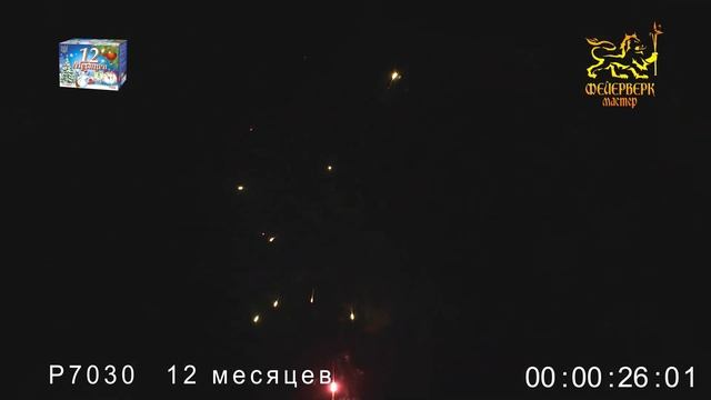 12 месяцев 51 залп. смотреть онлайн