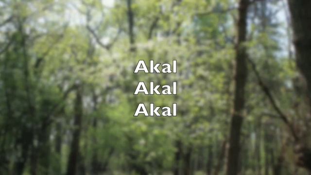 Akal - ancient chant to release the soul of loved one into divine on their death - Akala - timeless смотреть онлайн