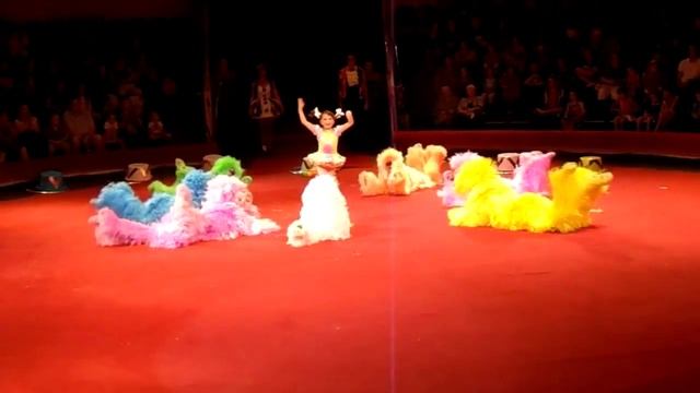 "ДРУЖНАЯ СЕМЕЙКА" - (собачки) .Цирк"Надежда"-Ижавто смотреть онлайн