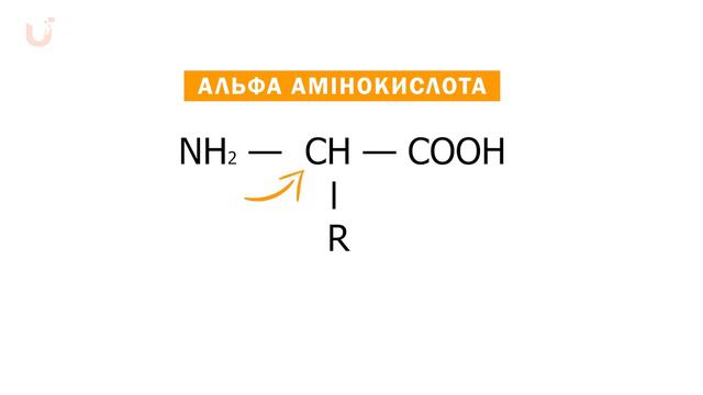 Амінокислоти: Основні будівельні блоки життя | Хімія смотреть онлайн