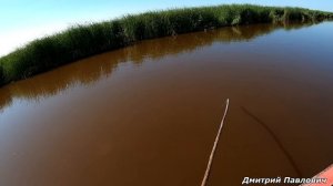 КАСТИНГОВАЯ СЕТЬ СНОВА В УДАРЕ!!!Осеннее разнорыбье!!! Рыбалка па паук и кастинговую сеть с лодки!!