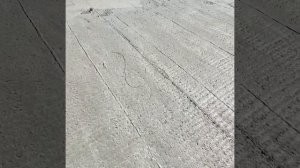 Построить дом из пеплоблоков за 1.5 ляма