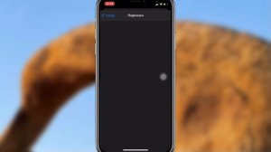 Как НАЙТИ пункт iTunes и App Store на iPhone? Пункт ПОДПИСКИ на iPhone iOS 14- iApple Expert