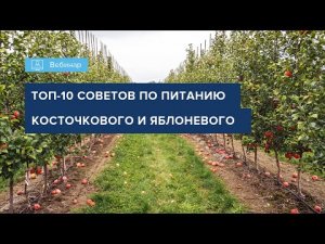ВЕБИНАР «ТОП СОВЕТОВ ПО ПИТАНИЮ КОСТОЧКОВОГО И ЯБЛОНЕВОГО САДА»