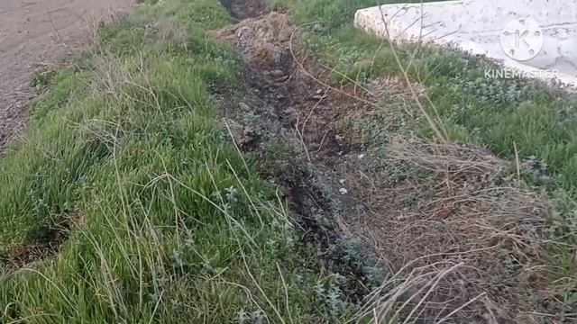 30-31-АВГУСТ ЖУДА КУЧЛИ ШАМОЛ ВА ДУЛ КУЧАГА ЧИҚМАНГ ОБ-ХАВО КЕСКИН ЎЗГАРАДИ ХАЛҚ ОГОХ БЎЛИНГ смотреть онлайн