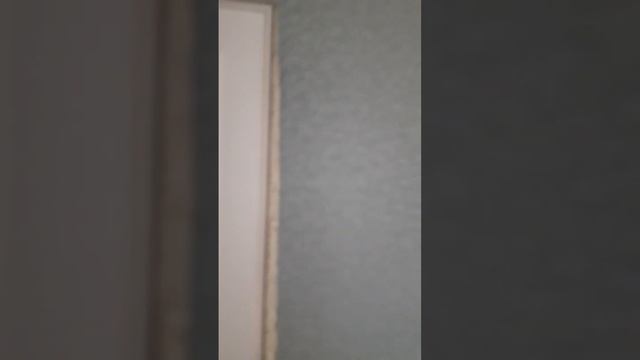 Натяжные потолки. Волгоград . 89610890022 смотреть онлайн