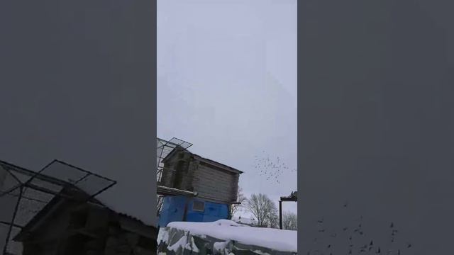Первое видео в 2021г . смотреть онлайн