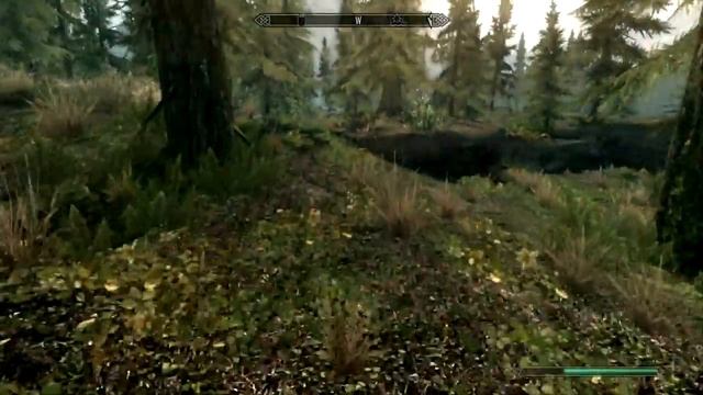 Skyrim - PC Gameplay HD [Part I] смотреть онлайн