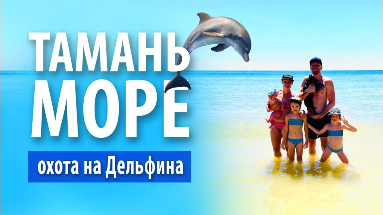Тамань, море, пляж «Волна» | Охота на дельфина смотреть онлайн