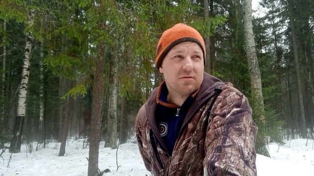 Солонец круглый год.Как и где сделать хороший солонец на лося. смотреть онлайн