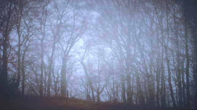Я ненавижу свою мать. Реальные истории из жизни. смотреть онлайн
