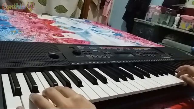 Yamaha PSR-E263 - When the Saints Go Marching In - keyboard cover смотреть онлайн