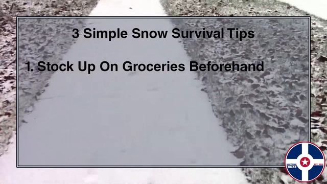 3 Simple Snow Survival Tips смотреть онлайн