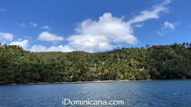 Горбатые киты в Доминикане - 2019 - IDominicana.com