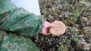 Планов много времени мало \ Продолжаем обкатку нового лодочного мотора Sharmax SM 9.9 HS