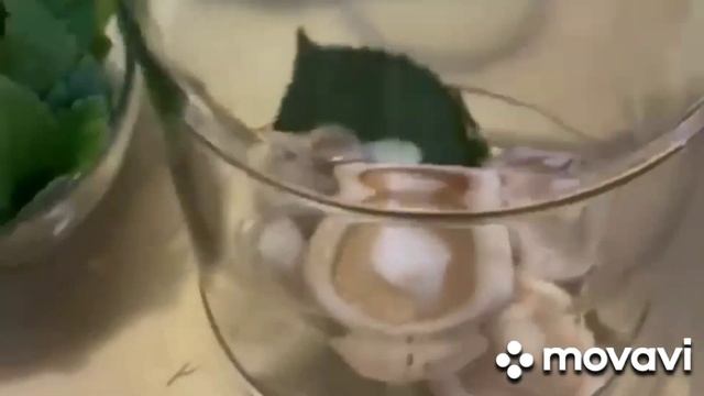 Гаджеты и Технологии