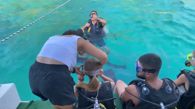 Дайвинг в Турции: цены, прочие условия смотреть онлайн