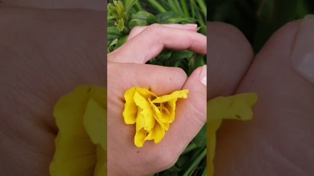 Это наше лето