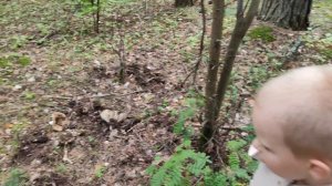 ХОРОШАЯ НОВОСТЬ АЖ ДО СЛЕЗ🤦♀️