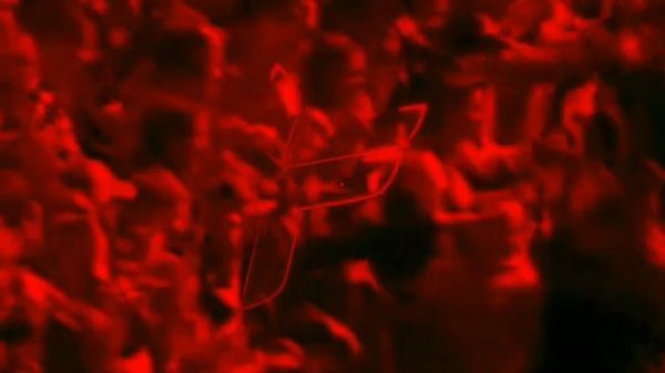 Ferry Corsten - Brain Box (ALT_MAN REWORK)