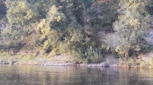 Томь Междуреченск. Природа.