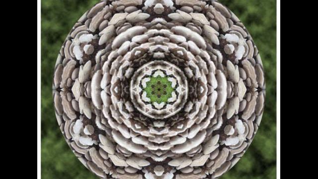 A Mandala Meditation смотреть онлайн