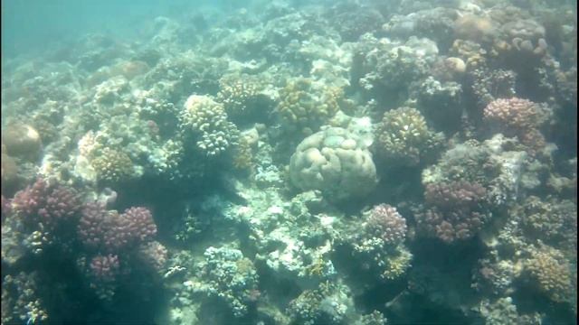 Marina Resort Port Ghalib, A Member Of Radisson Individuals