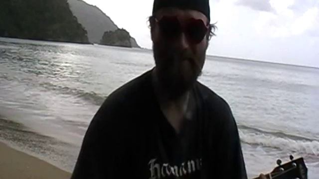 Kings of Metal at Manowar Bay (ukecovers) смотреть онлайн