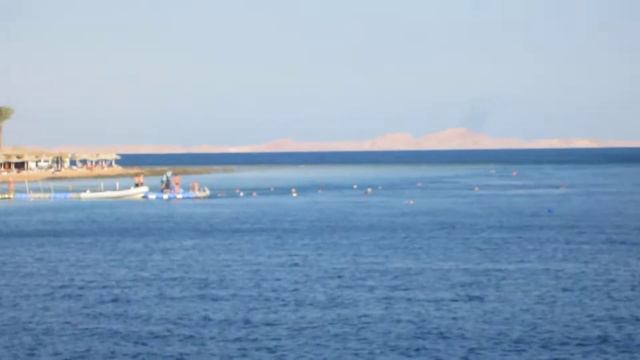 Египет Красное море Риф Фонарь бичь Отель ноябрь 2013 смотреть онлайн