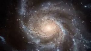 Законы красоты