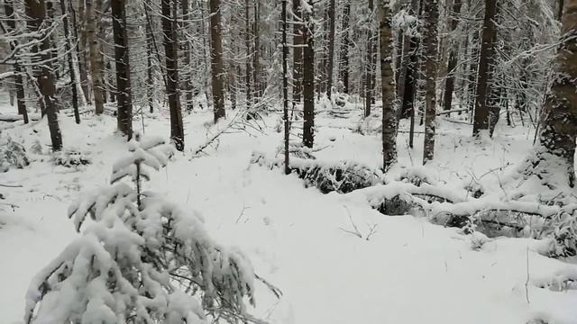 Охота на зайцев 59 смотреть онлайн