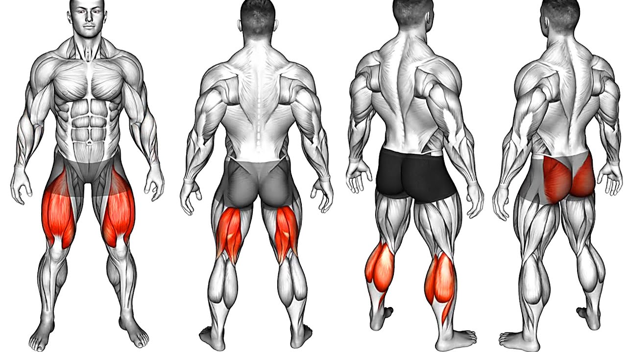 Лучшие упражнения для Ягодичных Мышц, подколенных сухожилий, квадрицепсов икроножных мышц смотреть онлайн