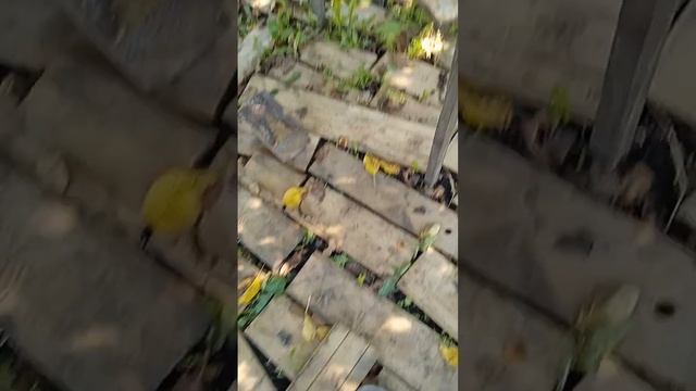 база моего друга смотреть онлайн