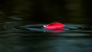 БЛАЖЕННОЕ СПОКОЙСТВИЕ Для женщин Полная версия Сытин (без музыки)