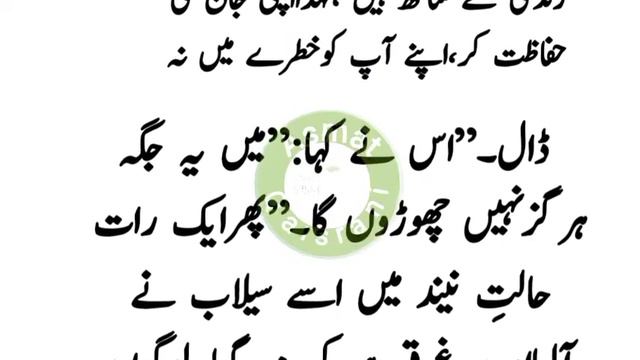 Aik Nujwan Jo Seelab Any Wali Jagha So Gea | Aik Nujwan Aur Seelab Ka Waqia | Moral Stories In Urd смотреть онлайн