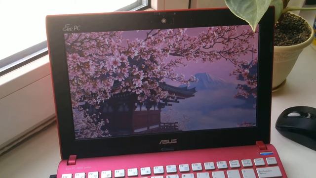 3Planesoft Blooming Sakura 3D Screensaver @ ASUS Eee PC 1025CE Pink смотреть онлайн
