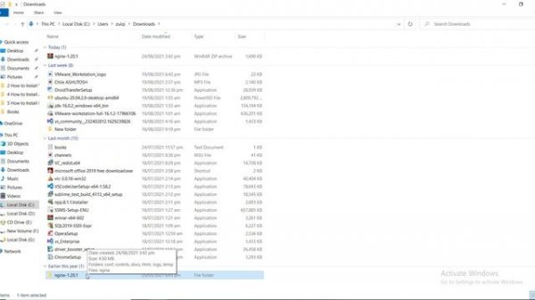 How to Install NGINX on Windows 10