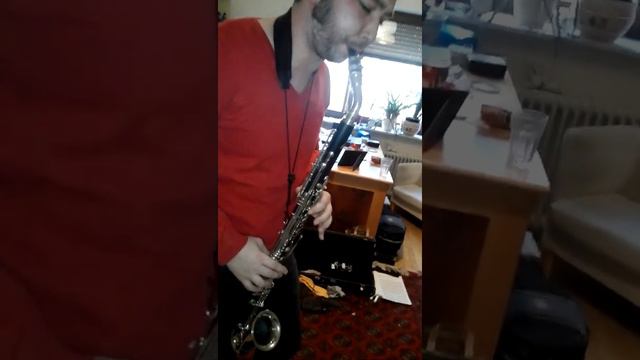 Blame it on my youth Alto clarinet cover. смотреть онлайн