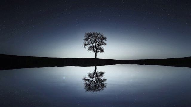 "Забыли люди что есть сердце" смотреть онлайн