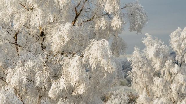 Стихотворение "Серафим Саровский" смотреть онлайн
