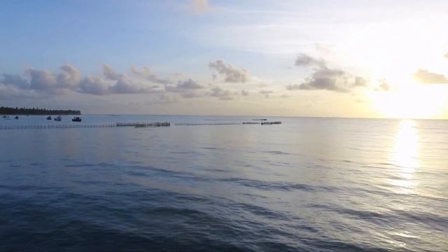 Mr. Sunshine Project - Amber (official Video)