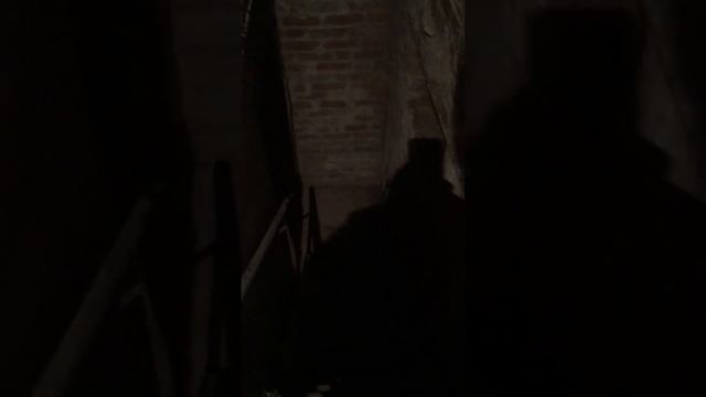 Лестница в подвал)(0669421666) смотреть онлайн