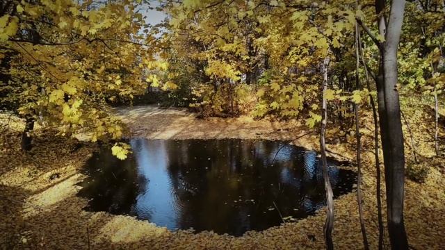 Падают, падают листья... смотреть онлайн