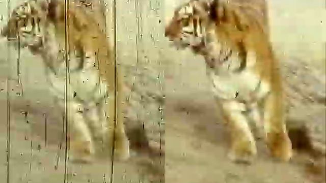 Кинопленка без царапин смотреть онлайн