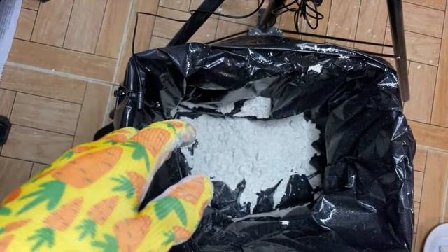 Чистка Честор. смотреть онлайн