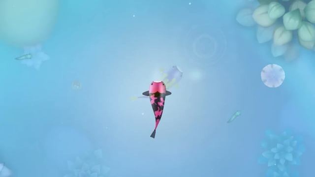 Zen Koi Pro смотреть онлайн